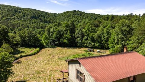 A home in Mineral Bluff