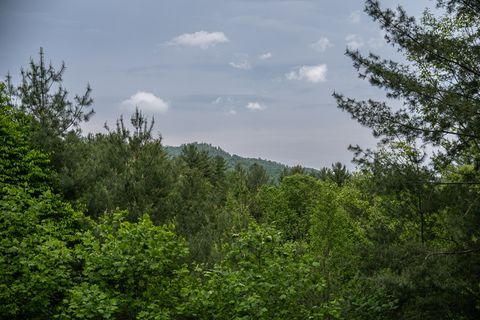 A home in Mineral Bluff