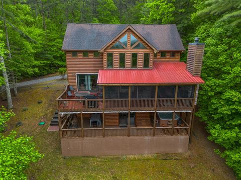 A home in Mineral Bluff