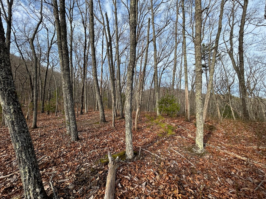 Lot 25 Mission Ridge Drive