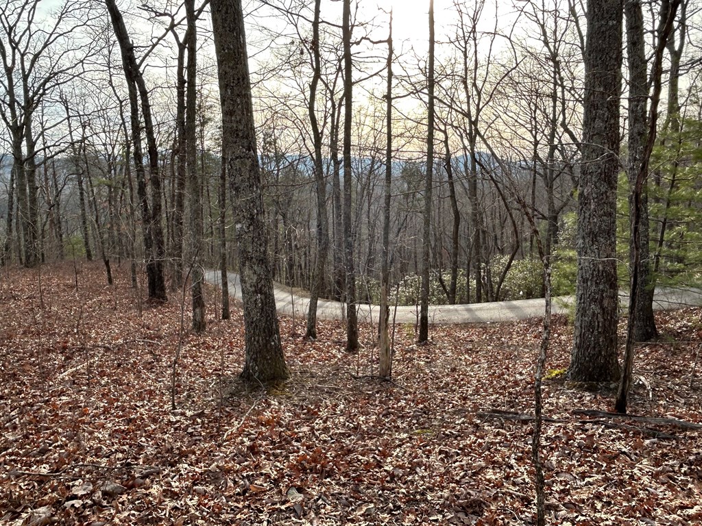 Lot 25 Mission Ridge Drive