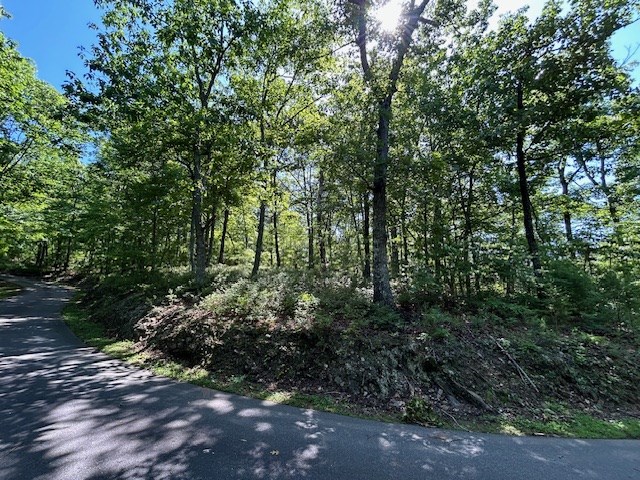 Lot 25 Mission Ridge Drive