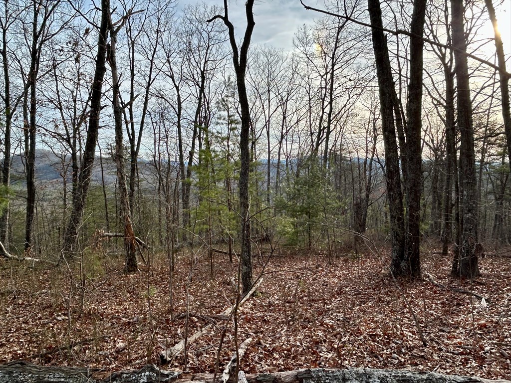 Lot 25 Mission Ridge Drive