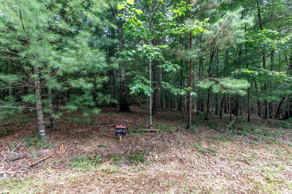 Lot 2 Rocking Chair Ridge