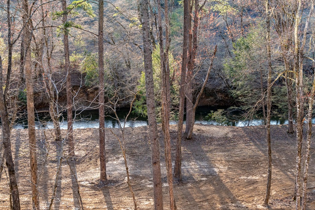 287 Cool Creek Trail
