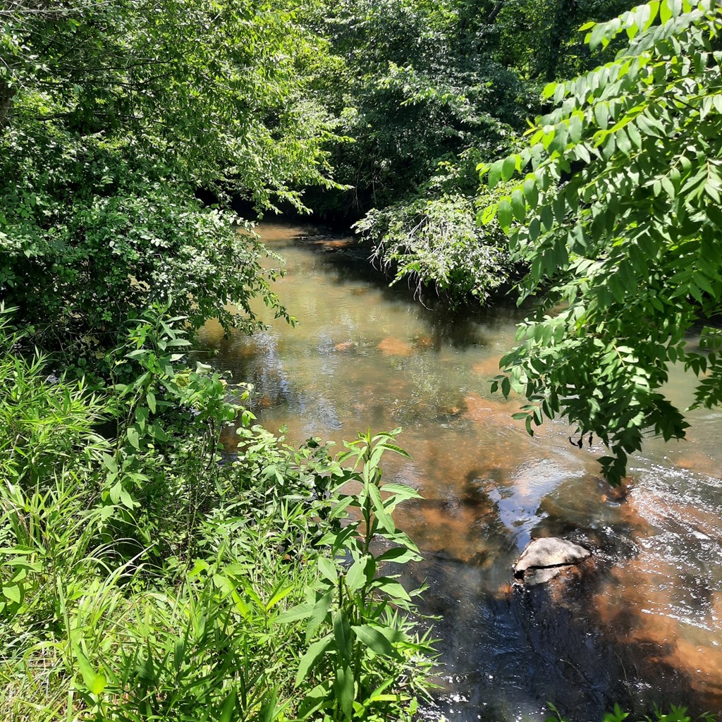 LOT 195 Shenendoa Dr.