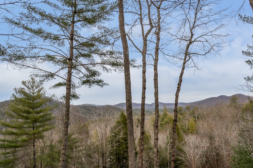 131 Toccoa Overlook Lane