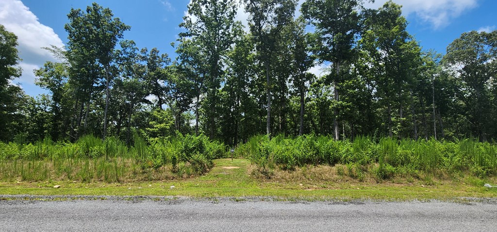 LT 106 Split Creek Road