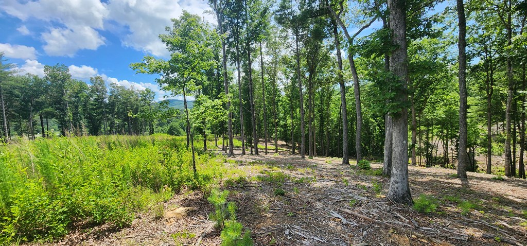 LT 106 Split Creek Road