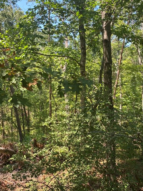 A home in Ellijay