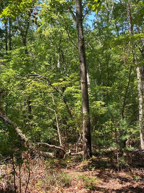 A home in Ellijay