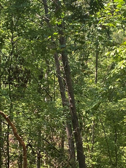 A home in Ellijay