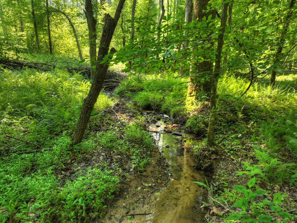279 Shallow Water Trail