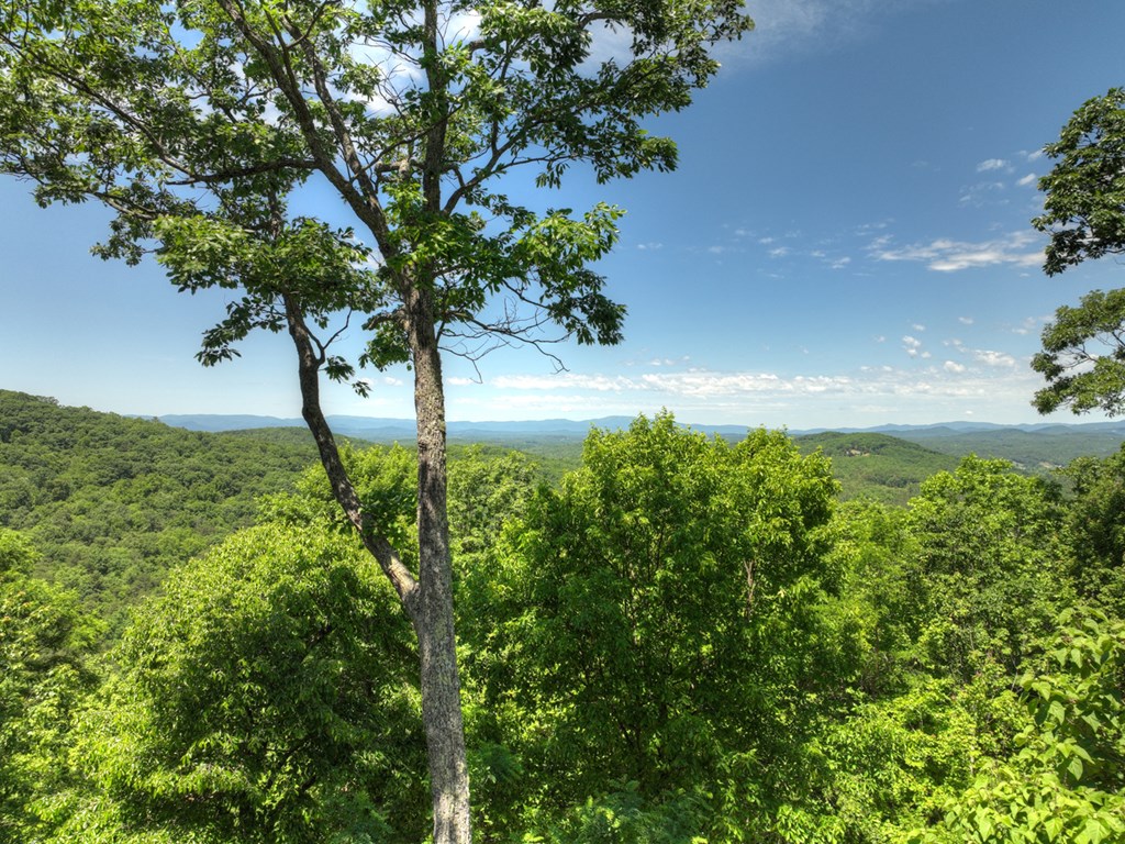 305 Enchanting Circle