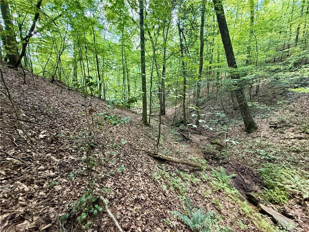 79 River Overlook Lane S