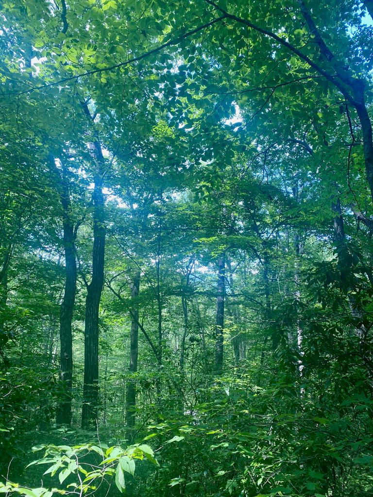 LOT22 Bryant Cove Road