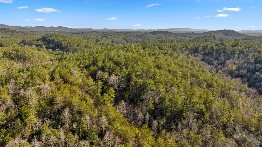 LOT 19 Skyline Drive