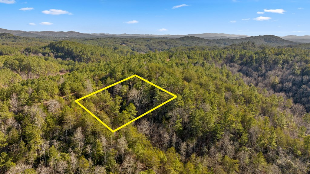 LOT 19 Skyline Drive