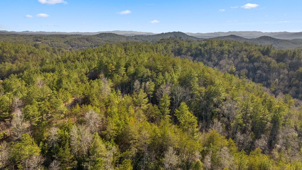 LOT 19 Skyline Drive