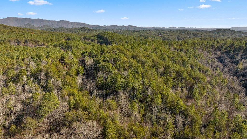 LOT 19 Skyline Drive