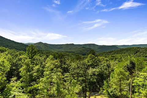 A home in Blue Ridge