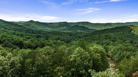 A home in Blue Ridge