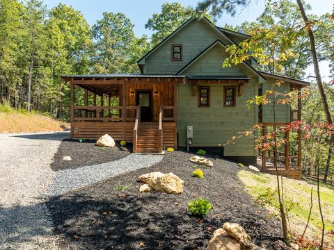 108 Wildflower Drive Mineral Bluff GA 30559