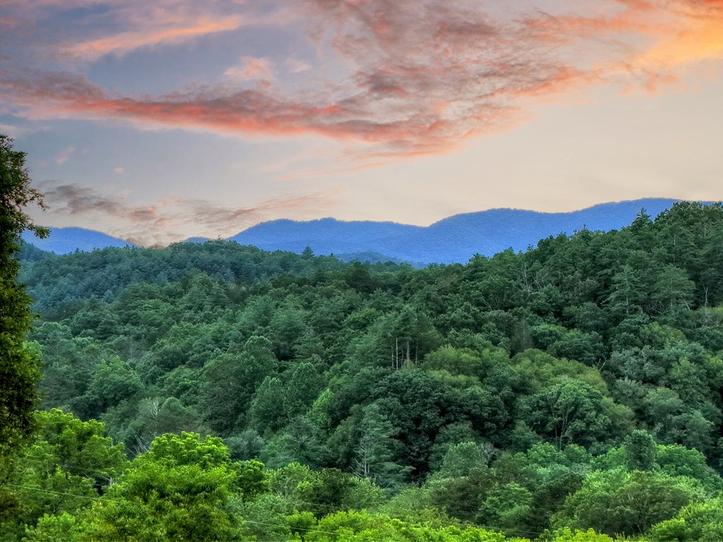 160 Mountain Field Drive