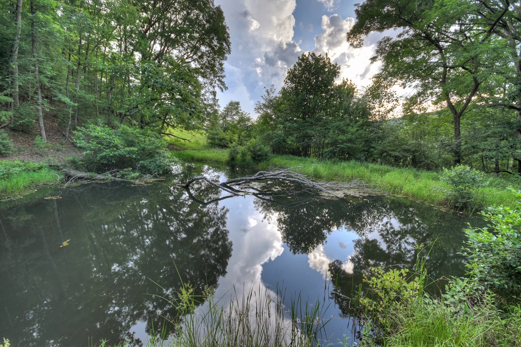 160 Mountain Field Drive