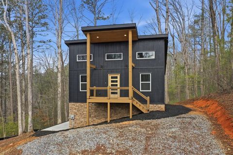 890 Joliet Drive Ellijay GA 30540