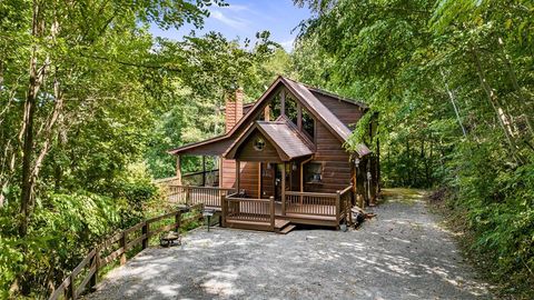 469 Mountain High Drive Mineral Bluff GA 30559