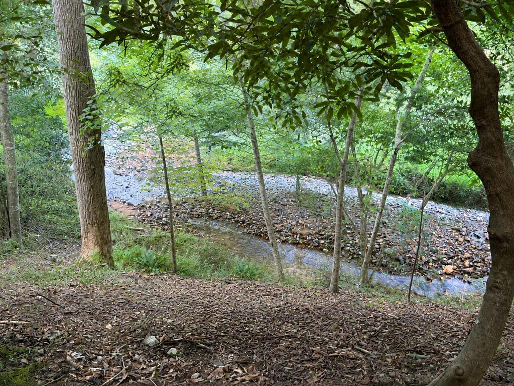 78 Hidden Pine Trail