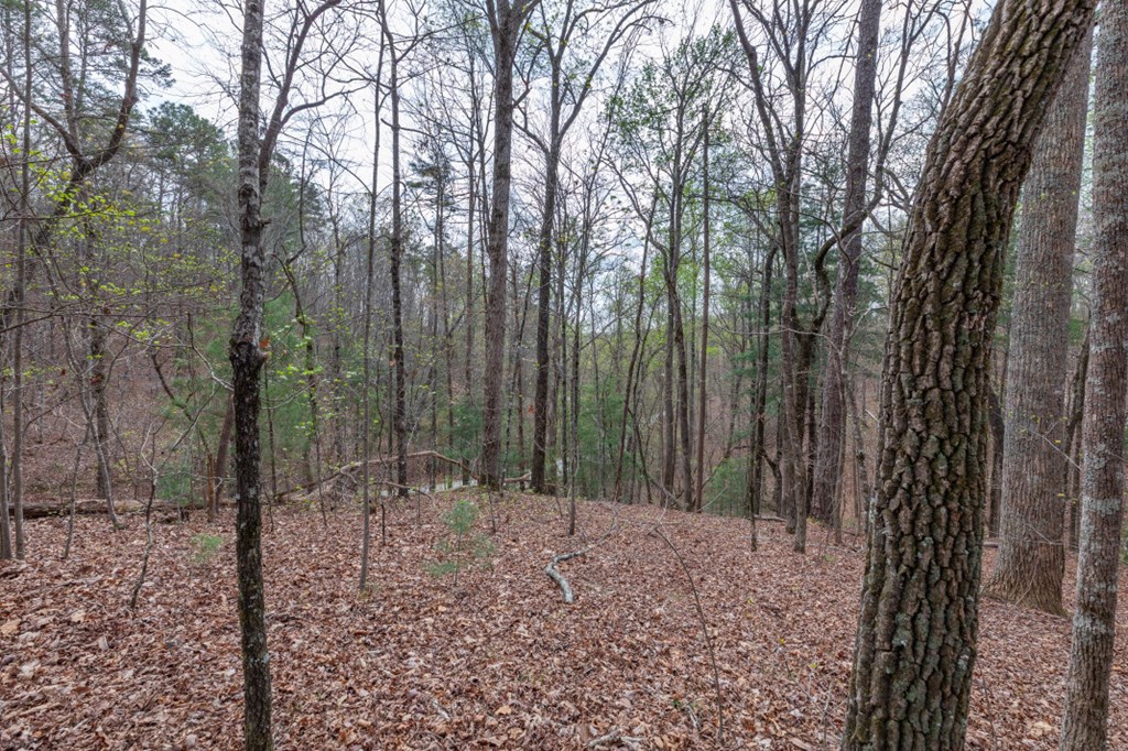 Lot 6B Glenridge Way