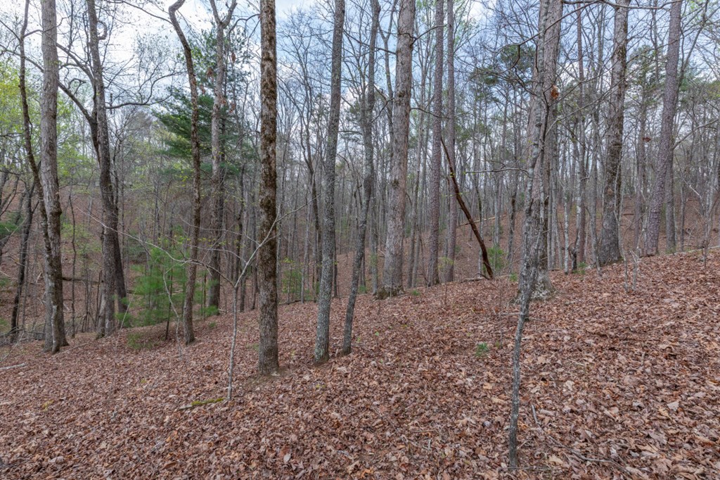 Lot 6B Glenridge Way