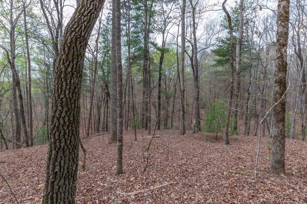 Lot 6B Glenridge Way