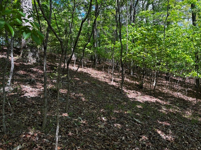 Lot 43 Edgewood Trail
