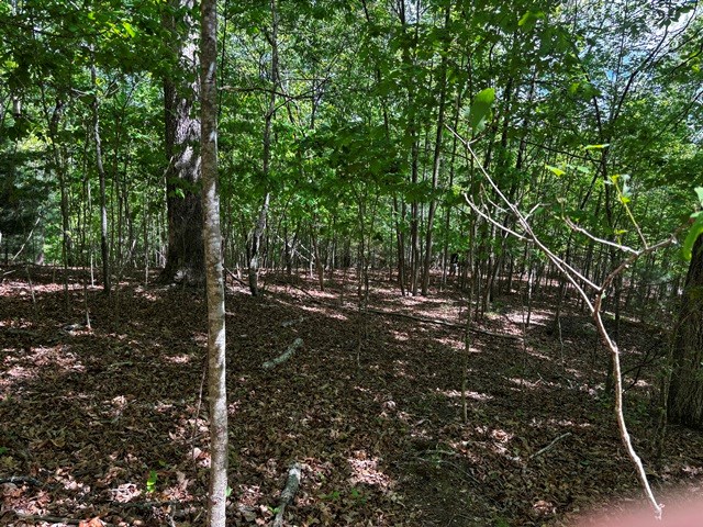 Lot 43 Edgewood Trail