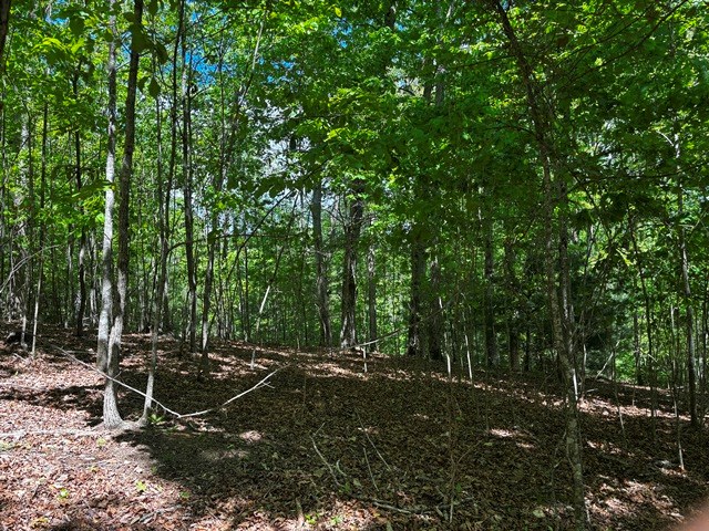 Lot 43 Edgewood Trail