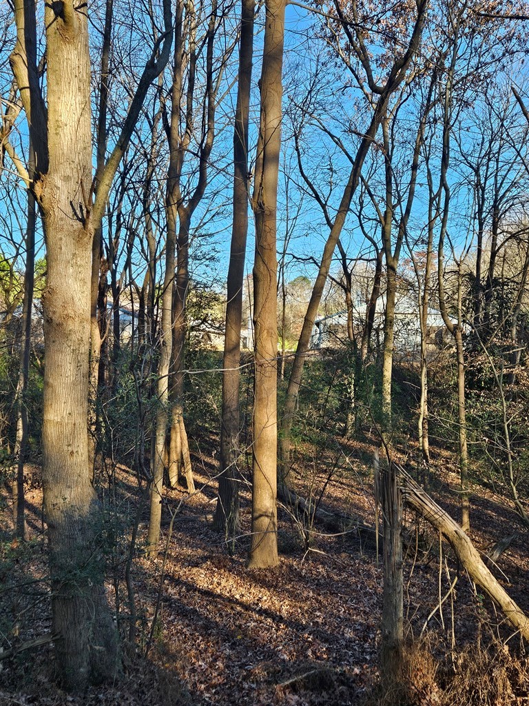 Lot 256 Elmwood Circle