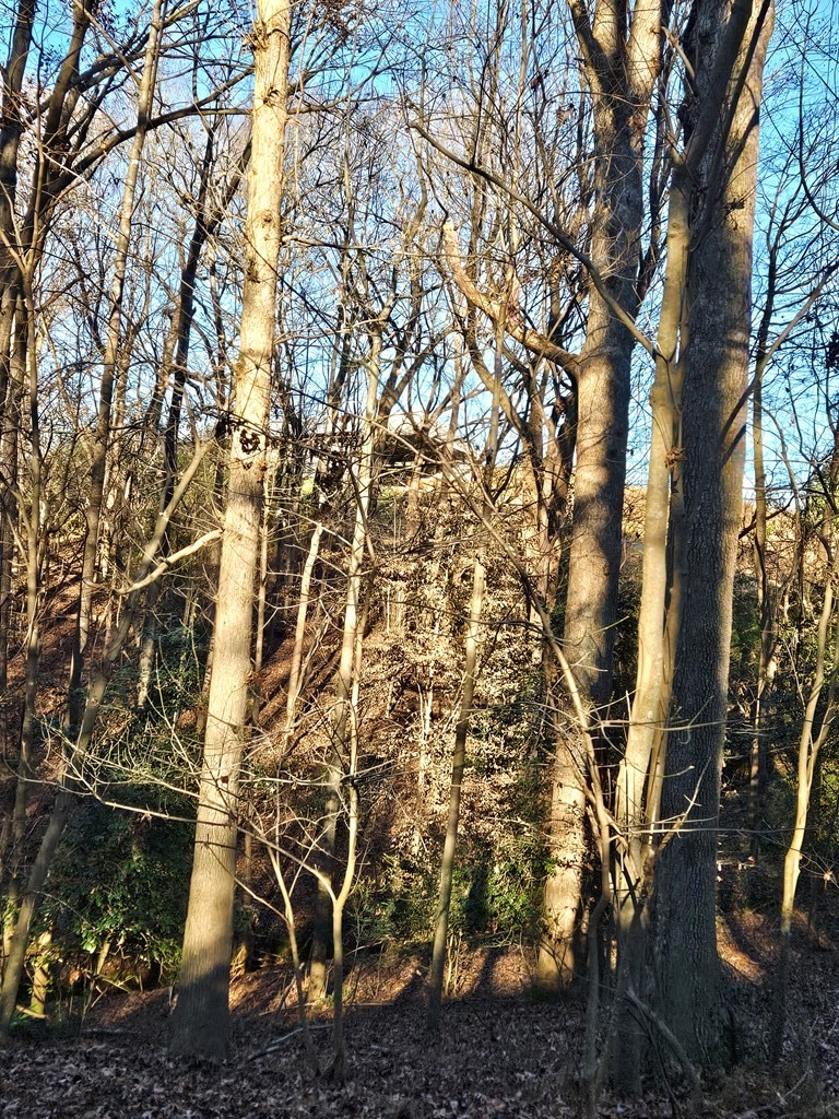 Lot 256 Elmwood Circle