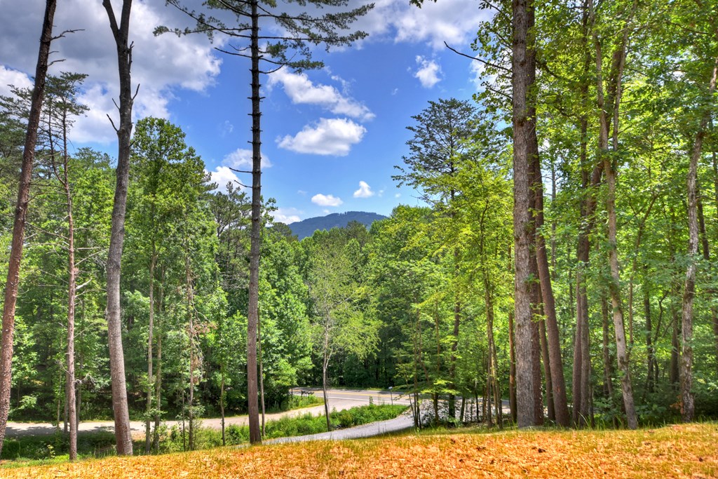 2461 Salem Road