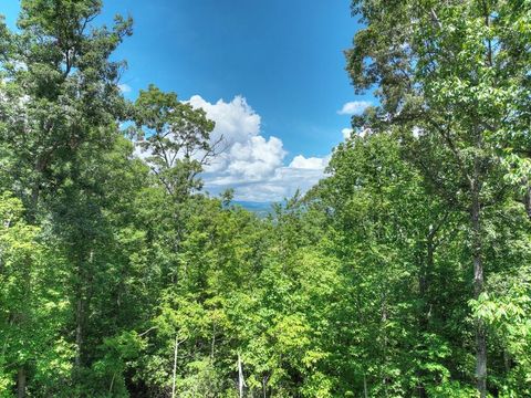 1170 Winchester Creek Young Harris GA 30582