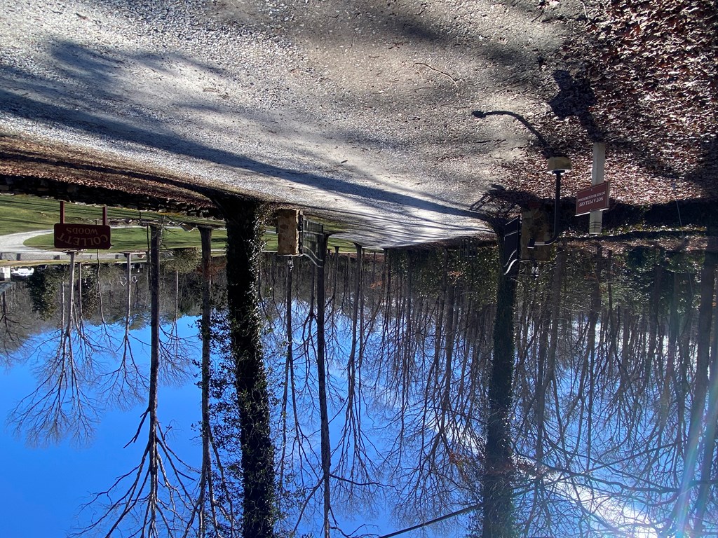 TBD Wood Collett Cove