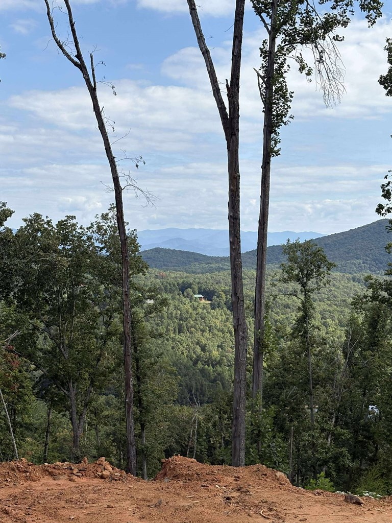 437 Skyline View Drive