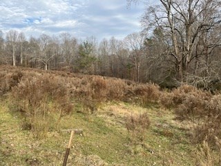 0 Julius Bridge Road