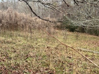 0 Julius Bridge Road