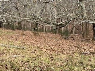 0 Julius Bridge Road