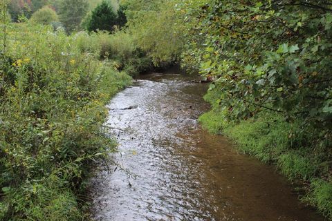 Lot 13 Creekside Acres Brasstown NC 28902