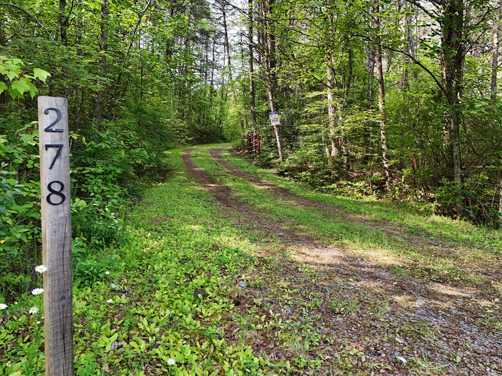 278 Golf Course Road