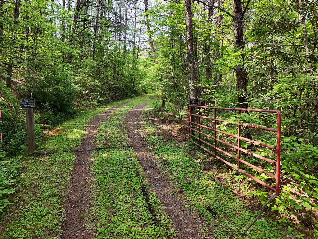 278 Golf Course Road